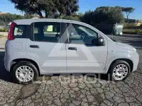 2021 Fiat Panda