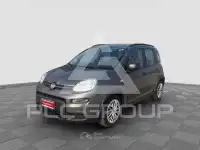 2021 Fiat Panda