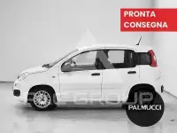 2021 Fiat Panda