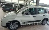 2021 Fiat Panda