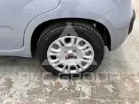 2021 Fiat Panda