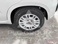 2021 Fiat Panda