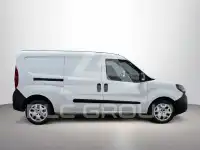 2021 Fiat Doblo