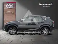 2021 Lexus NX