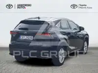 2021 Lexus NX
