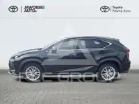 2021 Lexus NX