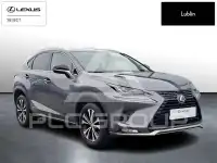 2021 Lexus NX