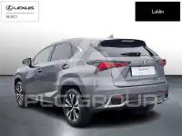 2021 Lexus NX