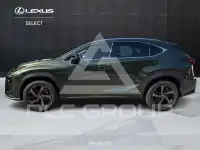2021 Lexus NX