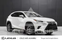2021 Lexus NX