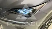 2021 Lexus NX