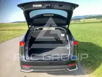 2021 Lexus NX