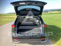 2021 Lexus NX