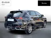 2021 Lexus NX