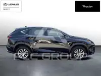 2021 Lexus NX