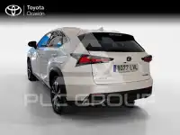 2021 Lexus NX