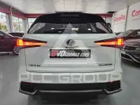 2021 Lexus NX