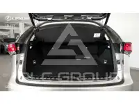 2021 Lexus NX