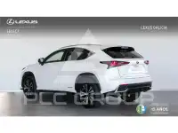 2021 Lexus NX