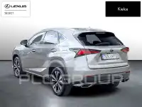 2021 Lexus NX