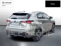2021 Lexus NX
