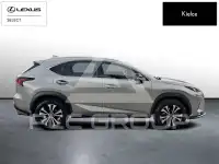 2021 Lexus NX