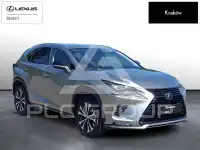 2021 Lexus NX