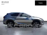 2021 Lexus NX