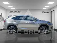 2021 Lexus NX