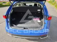 2021 Lexus NX
