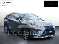 2021 Lexus NX