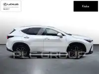 2021 Lexus NX