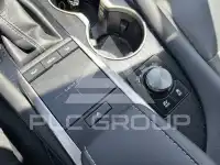 2021 Lexus RX