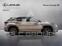 2021 Lexus RX