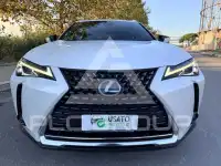 2021 Lexus UX