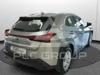 2021 Lexus UX