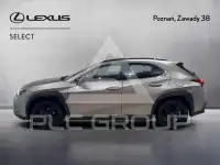 2021 Lexus UX