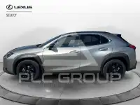 2021 Lexus UX