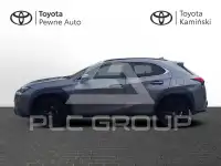2021 Lexus UX