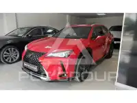 2021 Lexus UX