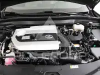 2021 Lexus UX