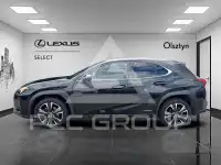 2021 Lexus UX