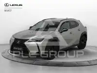 2021 Lexus UX