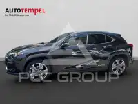 2021 Lexus UX