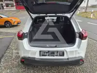 2021 Lexus UX