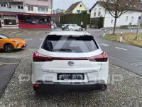 2021 Lexus UX