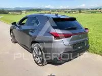 2021 Lexus UX