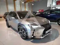 2021 Lexus UX