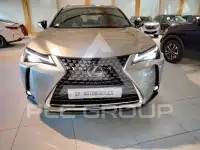 2021 Lexus UX