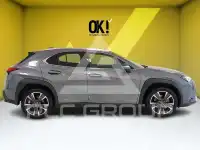 2021 Lexus UX